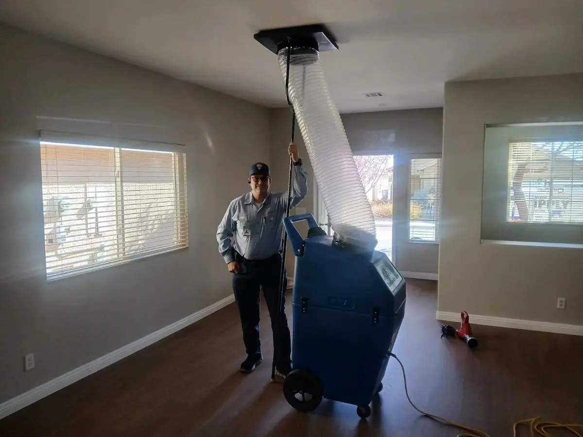 Professional Dryer Vent Cleaning work inside a Atmore home